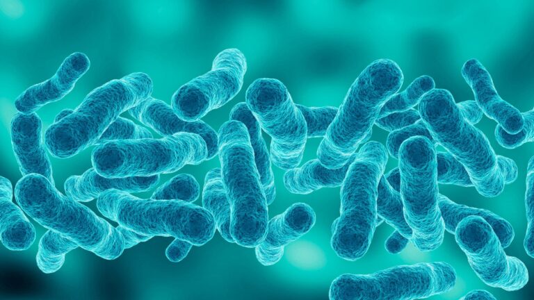 First death reported in Upper East Side Legionnaires’ disease outbreak as cases rise to 67 First death reported in Upper East Side Legionnaires' disease outbreak as cases rise to 67