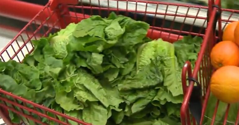How Trump admin cuts have compromised food safety How Trump admin cuts have compromised food safety