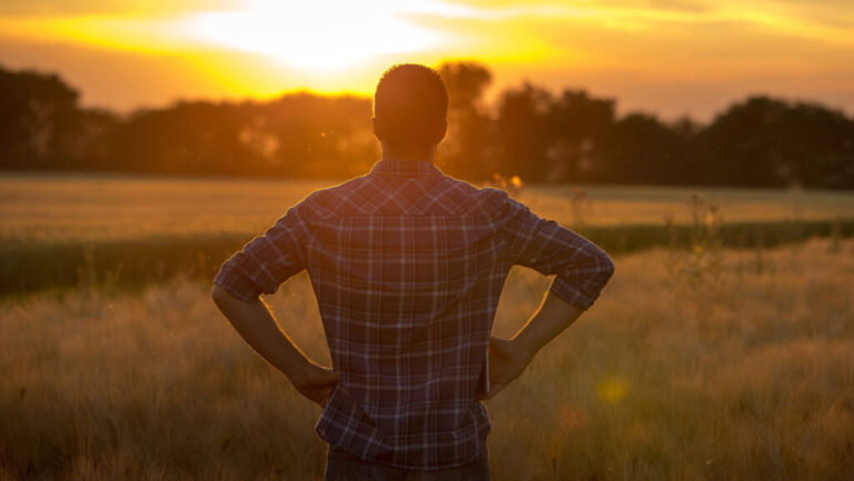 Welsh farming optimism depends on wellbeing support