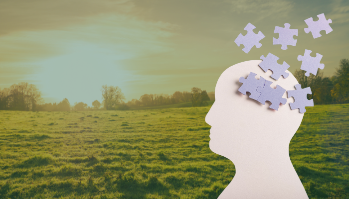 Connecting safety, health and wellbeing – Teagasc | Agriculture and Food Development Authority Connecting safety, health and wellbeing - Teagasc | Agriculture and Food Development Authority