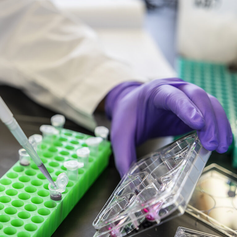 UT Southwestern ranked No. 1 in the world for healthcare research by Nature Index