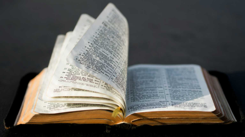 openbible.jpg