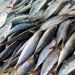 Fish, A good source of Omega-3 to treat PTSD