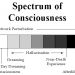 A conceptual drawing expressing the continuum of conscious states due to inherent noise sources within the brain and emulated via Creativity Machine Paradigm. As sensory information is reduced and altered, more internal noise is disrupting the networks of the brain illustrated as the box becoming darker and darker