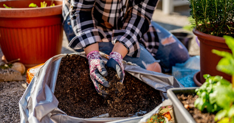 What is Really Hiding in Your Potting Soil