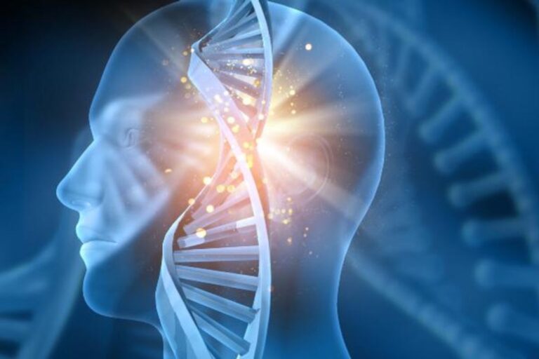 Rare diseases are much more common than the name suggests: they affect about 13 million Brazilians and 300 million people worldwide, in a universe of up to 8,000 different diseases, almost all of genetic origin.