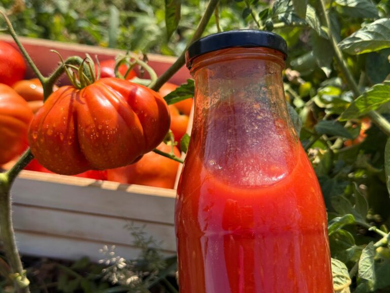 Tomato-soy juice study shows promise in reducing inflammation Tomato-soy juice study shows promise in reducing inflammation