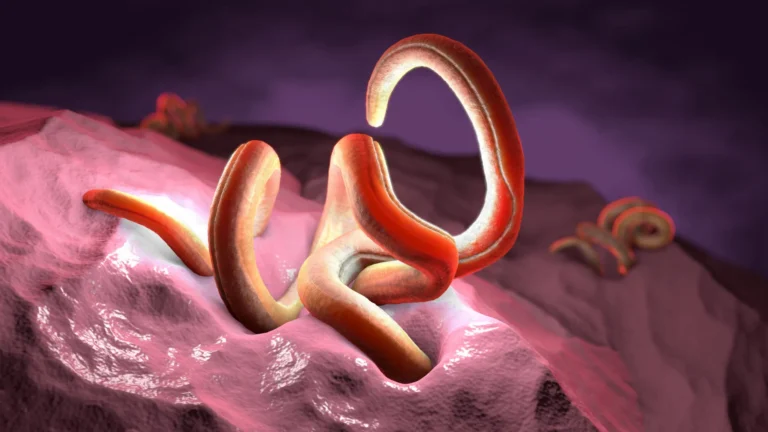 Scientists discover the one nutrient beneficial parasites can't live without Scientists discover the one nutrient beneficial parasites can't live without