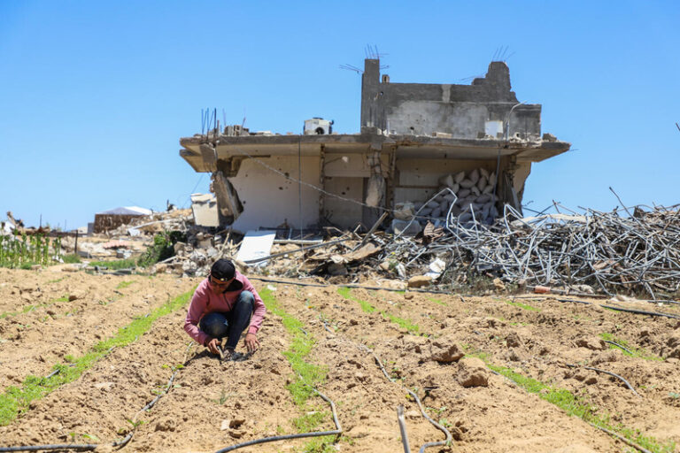 Food security and child nutrition crises persist in Gaza despite fragile gains due to increased humanitarian assistance and commercial traffic