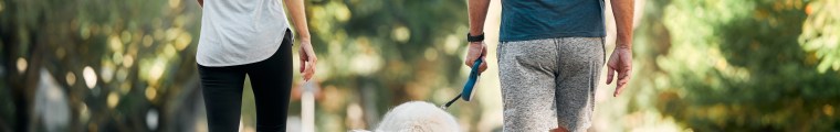 Senior man and woman walk in park with a dog between them.
