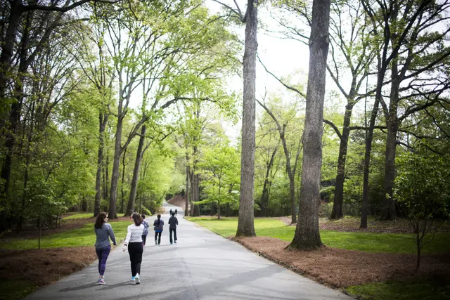 people walking in a park