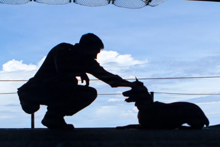 Defense Health Agency team wins program management award for securing FDA clearance of canine plasma Defense Health Agency team wins program management award for securing FDA clearance of canine plasma