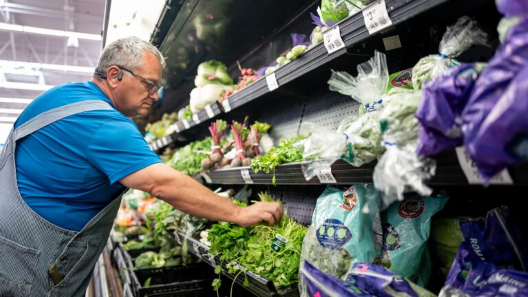 Michigan eases lettuce advice as state health department says cyclosporiasis reports decline Michigan eases lettuce advice as state health department says cyclosporiasis reports decline