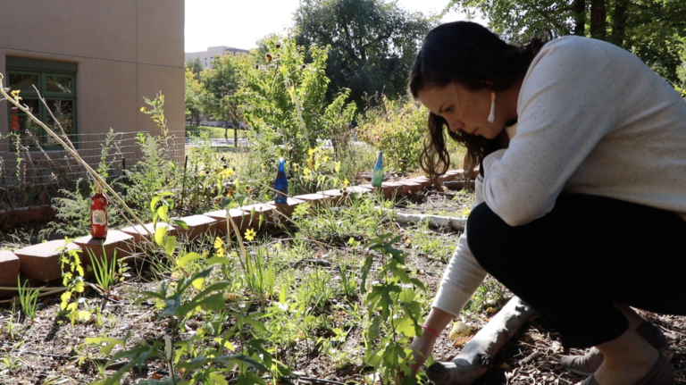 COEHS wellness services strengthen communities, prepare future professionals