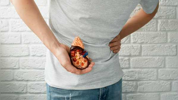 How extreme diets affect kidney health