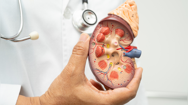What is the connection between stress, blood pressure and kidney health