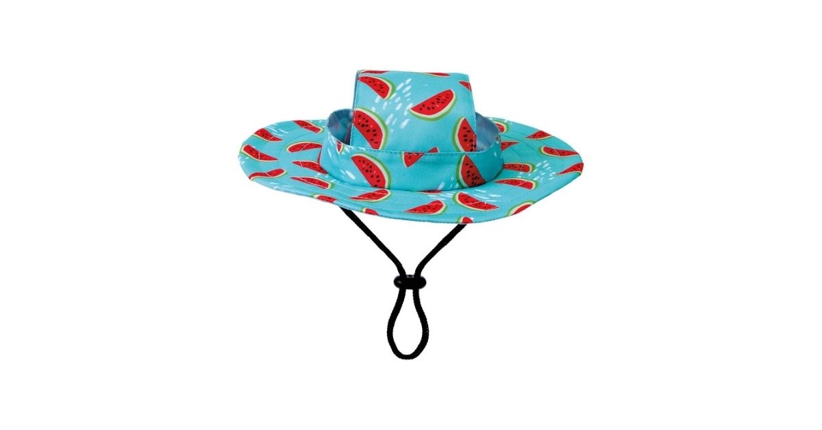 heart to tail pet hat