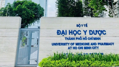 431 candidates were admitted to the Medical program at Ho Chi Minh City University of Medicine and Pharmacy, with more than half coming from Ho Chi Minh City.