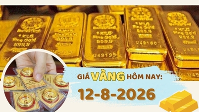 Gold prices today, August 12th: SJC gold price decreases by 600,000 VND/ounce, world gold price increases slightly.