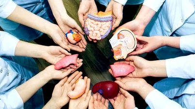 Proposals suggest that only those over 25 years old should be allowed to donate organs to non-family members to prevent organ trafficking.