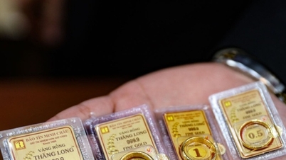 Gold prices today, August 16, 2026: SJC gold maintains at 141.0 - 144.0 million VND/ounce.