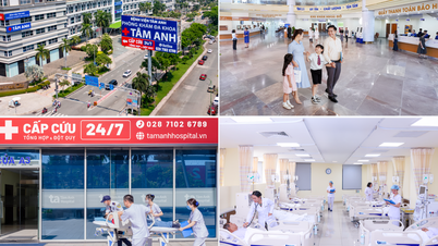 Ho Chi Minh City develops three pillars of healthcare, making it a worthy leader nationwide.