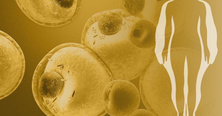 Virtual news conference to unveil Obesity Scientific Statement and Center on Obesity