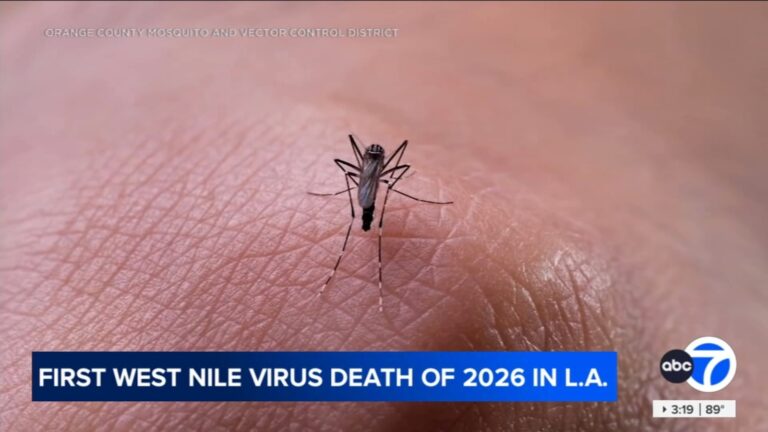 Los Angeles County reports first West Nile virus death of 2026 Los Angeles County reports first West Nile virus death of 2026