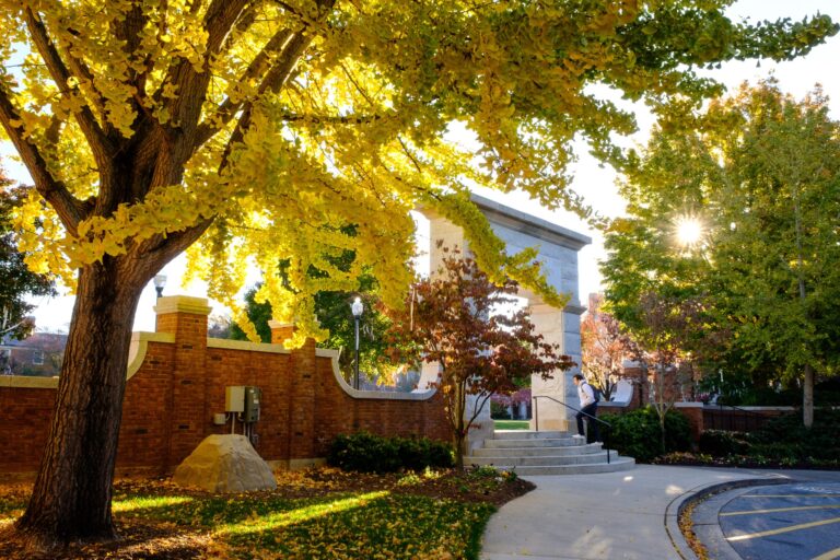 Supporting health and wellbeing this fall Supporting health and wellbeing this fall