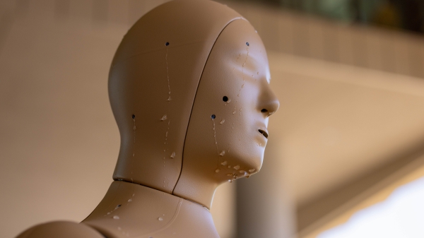 A sweating manakin does its thing.