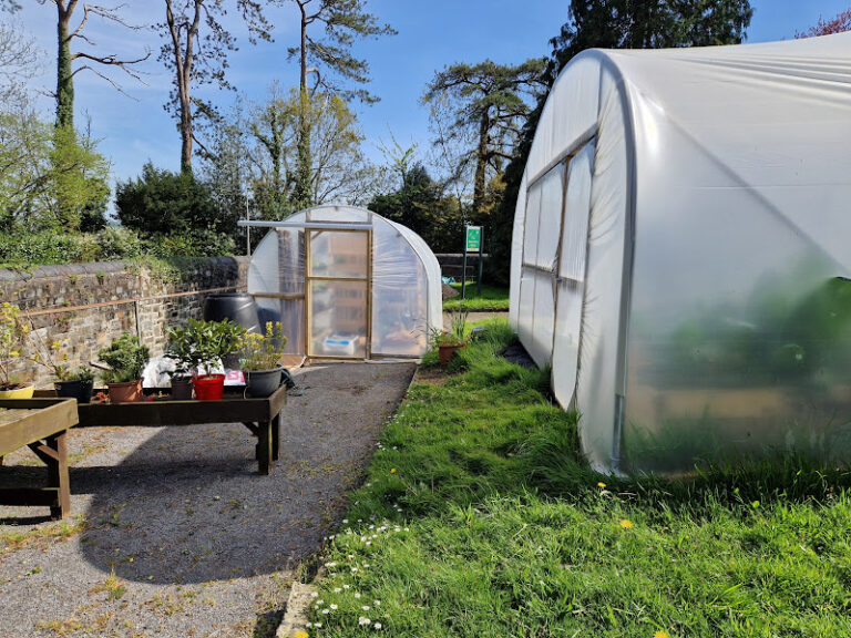 Health Minister to officially open new wellbeing gardens at Parc Dewi Sant