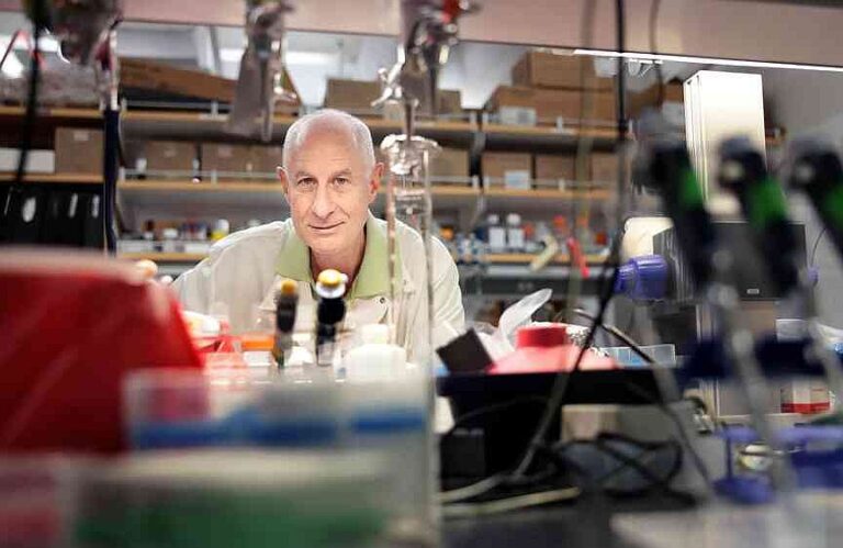From mice to ‘gym rats’: Unregulated use of peptides raises alarm among researchers | Jefferson City News
