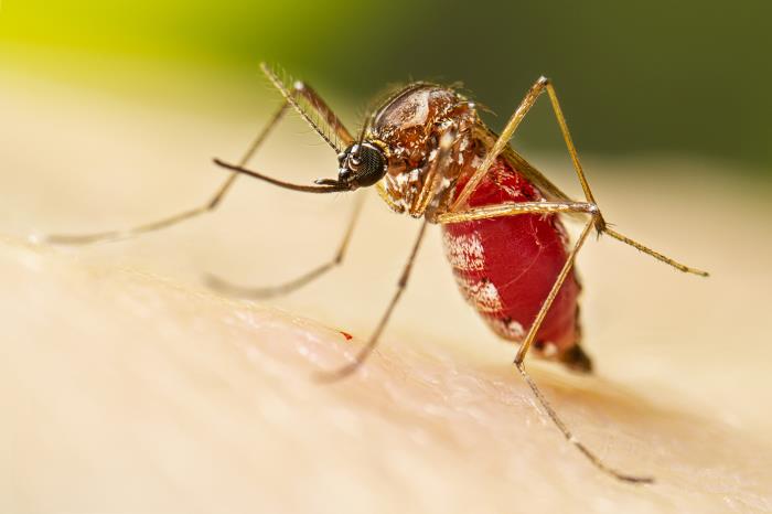 Understanding co-exposure to malaria and other mosquito Understanding co-exposure to malaria and other mosquito