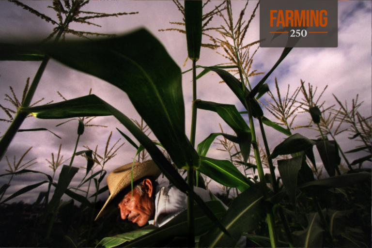 Why Crops Are Becoming Less Nutritious Why Crops Are Becoming Less Nutritious