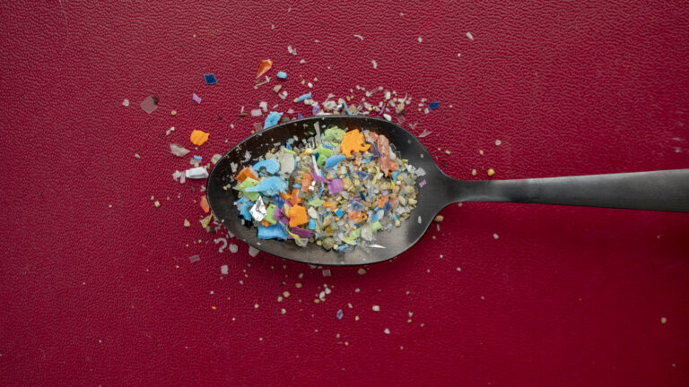 Want to Avoid Microplastics in Food? We Found the 8 Most Common Foods That Contain Microplastics