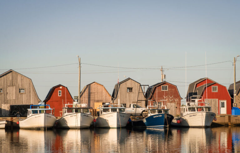 Canada offers to buy out oyster harvesters as disease hits Atlantic fishery hard