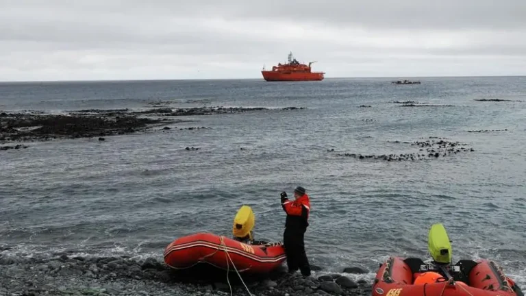 Bird flu fears prompt Antarctic scientist evacuation Bird flu fears prompt Antarctic scientist evacuation