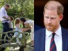 'Should': Major update in Harry's security bid