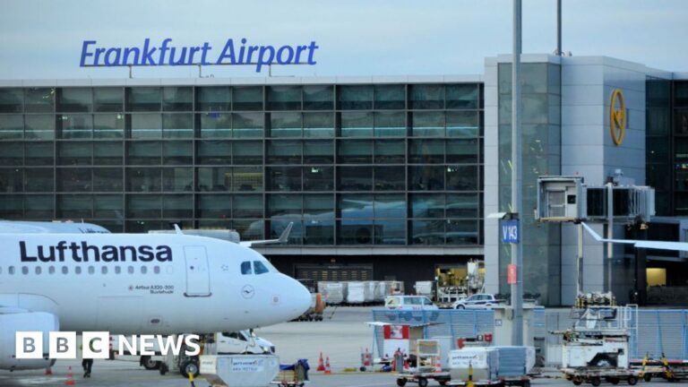 Two German airport workers die of malaria after 'mosquito arrives on plane'