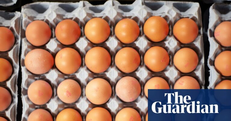 What is salmonella, how does it spread and are eggs safe to eat?