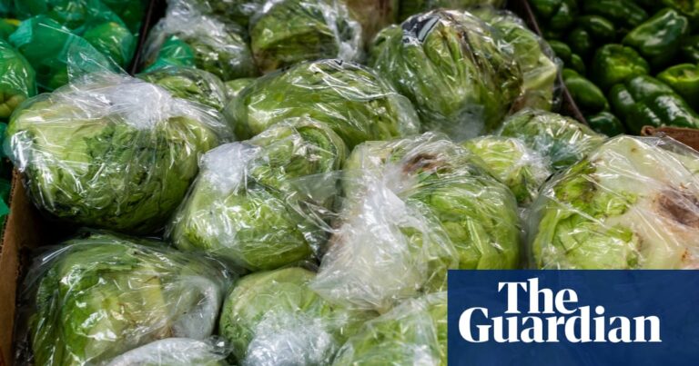 US law to investigate foodborne illness outbreaks has been delayed for 15 years US law to investigate foodborne illness outbreaks has been delayed for 15 years