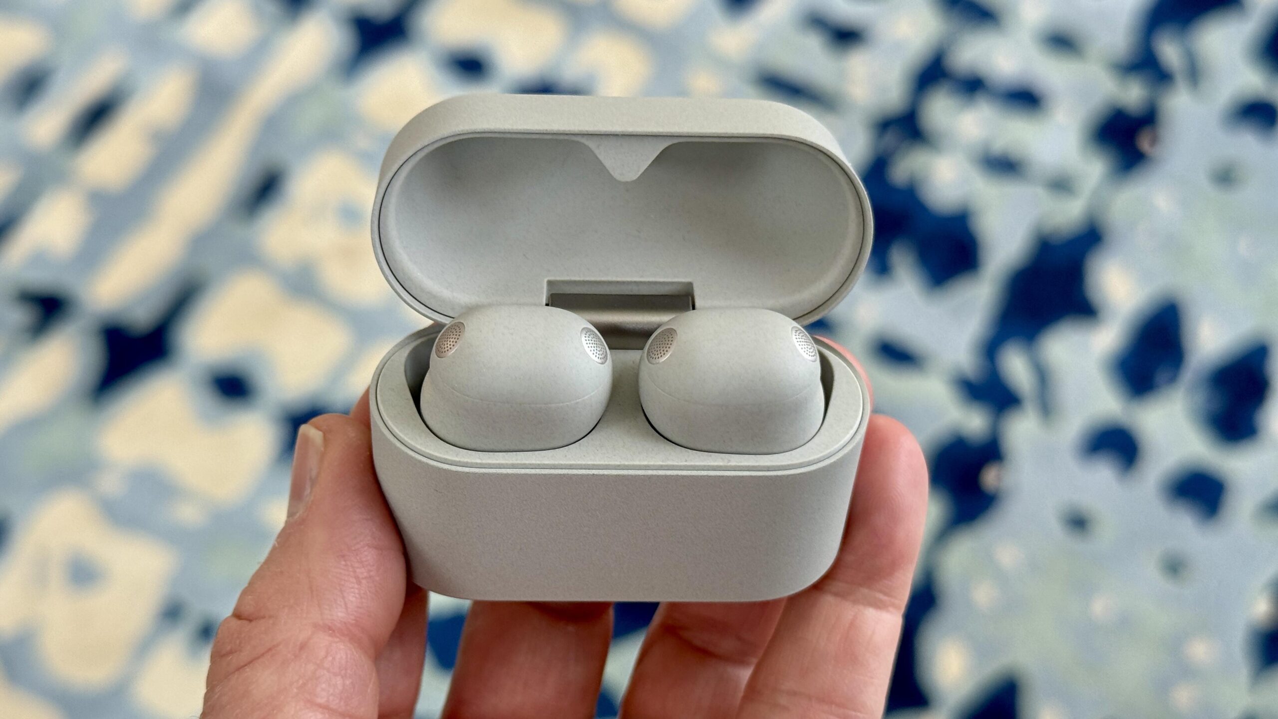 The Sony WF-1000XM6 silver-colored earbuds in their case held in a hand