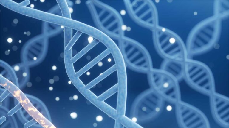 2.8M affected in Baylor Genetics breach involving medical data