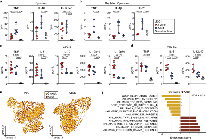 Peri-weaning, diet-induced activation of an IFNγ-mediated regulatory circuit promotes cDC1 maturation and CD8+ T cell differentiation Peri-weaning, diet-induced activation of an IFNγ-mediated regulatory circuit promotes cDC1 maturation and CD8+ T cell differentiation