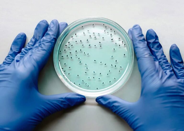 Could ‘cellular fragility’ be the missing link in chronic disease?
