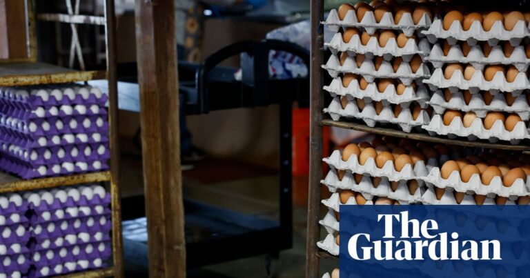 Massive egg recall in US south and south