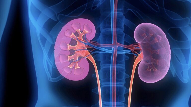 Every 1°C rise in heat may raise kidney disease risk by 8% among outdoor workers, parliamentary panel warns Every 1°C rise in heat may raise kidney disease risk by 8% among outdoor workers, parliamentary panel warns