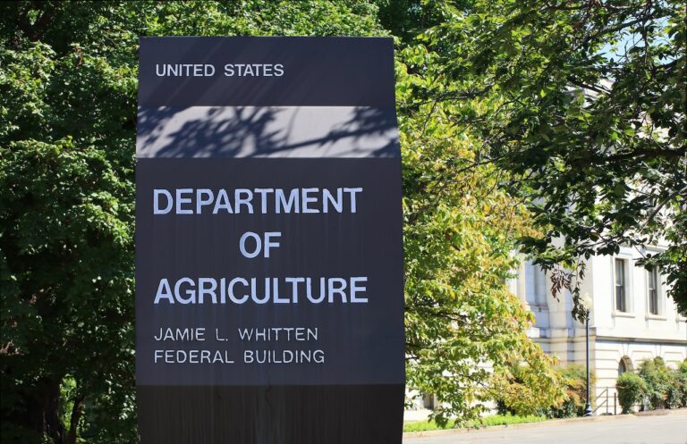 Public health alert issued for chicken salad sold in 2 states Public health alert issued for chicken salad sold in 2 states