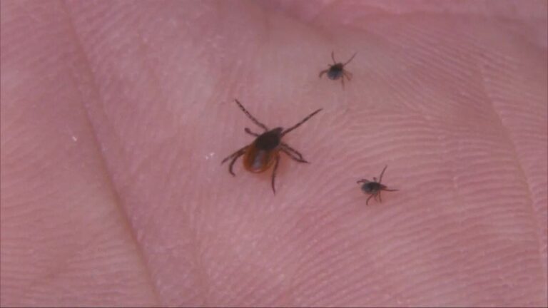 Green Lakes ranks second on national list for tick