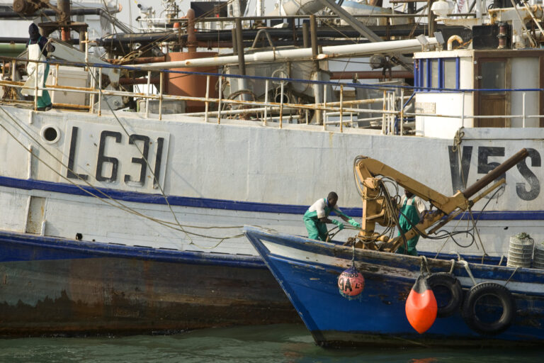 Global nutrient imbalance linked to exporting local catch from Africa